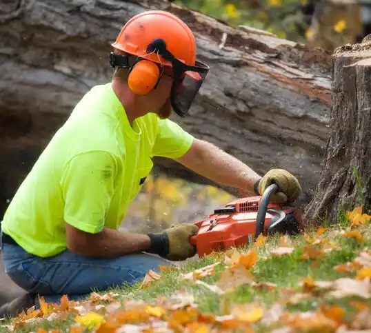 tree services East Prairie